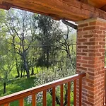 Il Nocciolo Di Daisy *