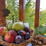 Il Nocciolo Di Daisy Horská chata *