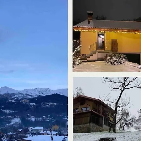 Il Nocciolo Di Daisy * Graglia