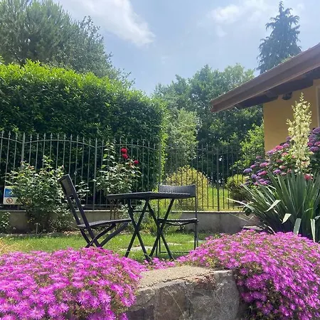 Il Nocciolo Di Daisy * Graglia