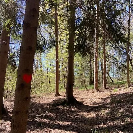 Il Nocciolo Di Daisy Σαλέ