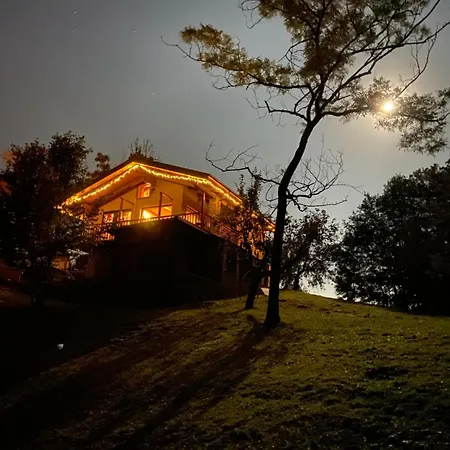 Il Nocciolo Di Daisy