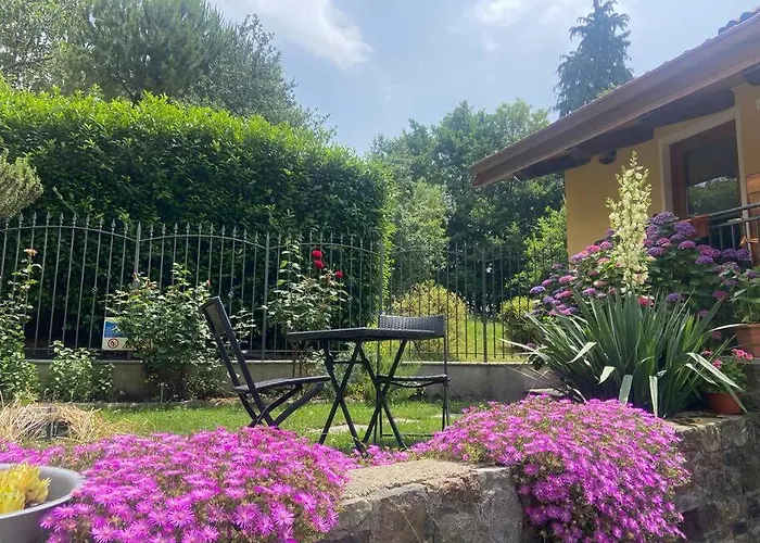 Il Nocciolo Di Daisy * Graglia