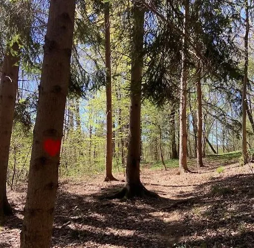 Il Nocciolo Di Daisy Horská chata