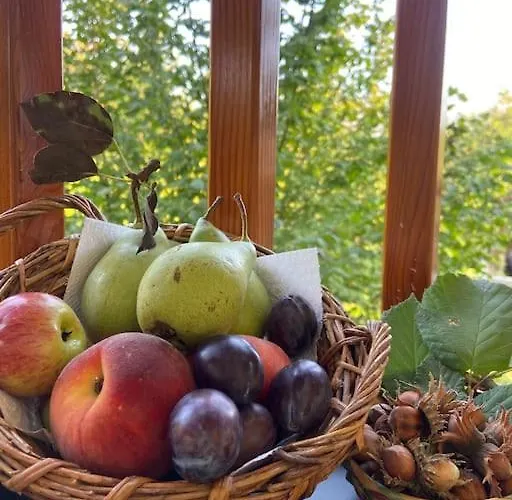 Il Nocciolo Di Daisy Horská chata *