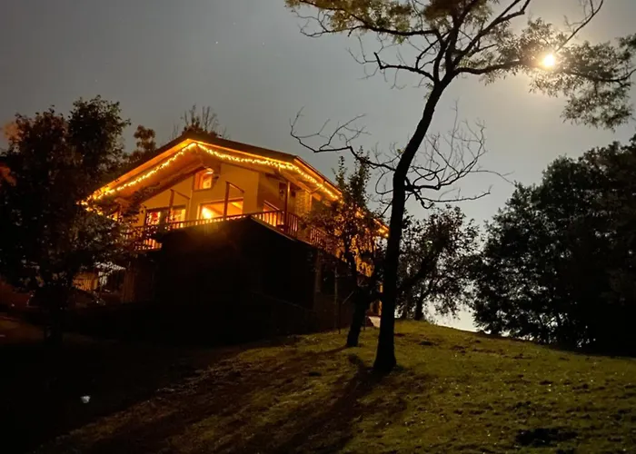 Il Nocciolo Di Daisy