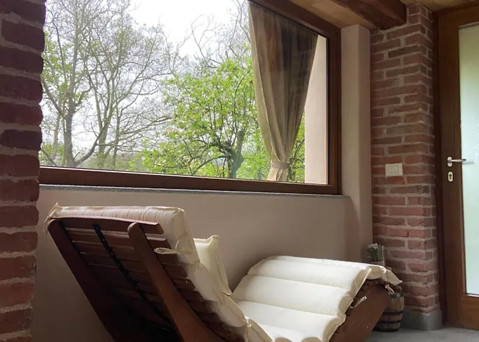 Il Nocciolo Di Daisy Graglia